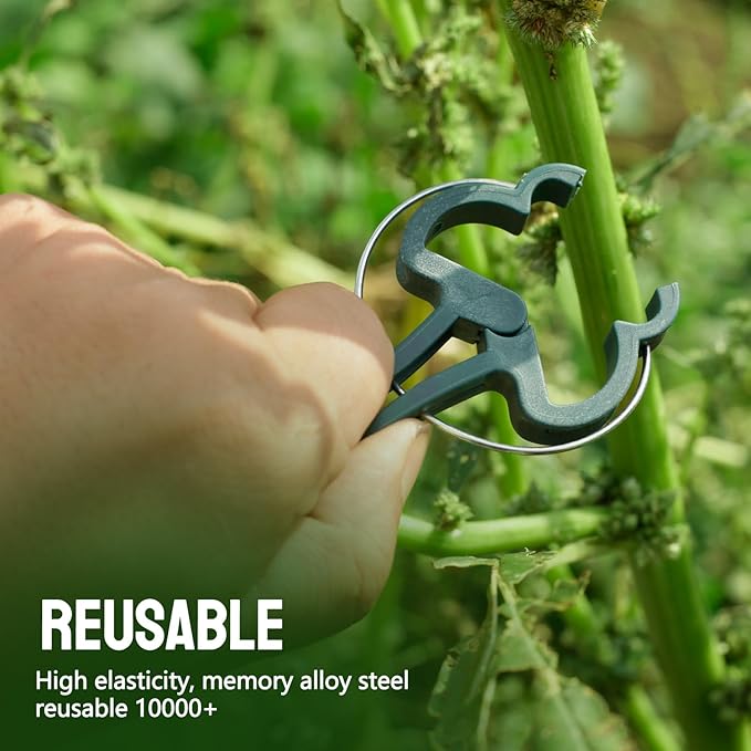 50 Green Pcs Large 2.36 inch Plant Support Clips, Flower and Vine, Tomato Plant Support Clips for Supporting Stems, Vines Grow Upright Climbing, Tool for Straightening, Trellis