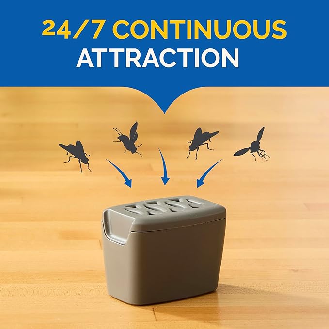 Hot Shot Flying Insect Trap, Discreet, Trap Attracts and Captures House Flies and Fruit Flies, 24/7 Continuous Attraction, No Plug-in Or Electricity Needed, 6 Count