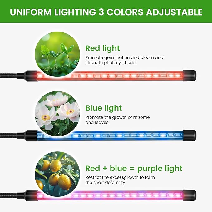 Clip Grow Light for Indoor Plants, Red Blue Spectrum Plant Growing Lamp with 3 Switch Modes,10-Level Dimmable,Auto ON & Off,3/9/12H Timer,Adjustable Gooseneck,1800 Lumen,Input Volateg 15W