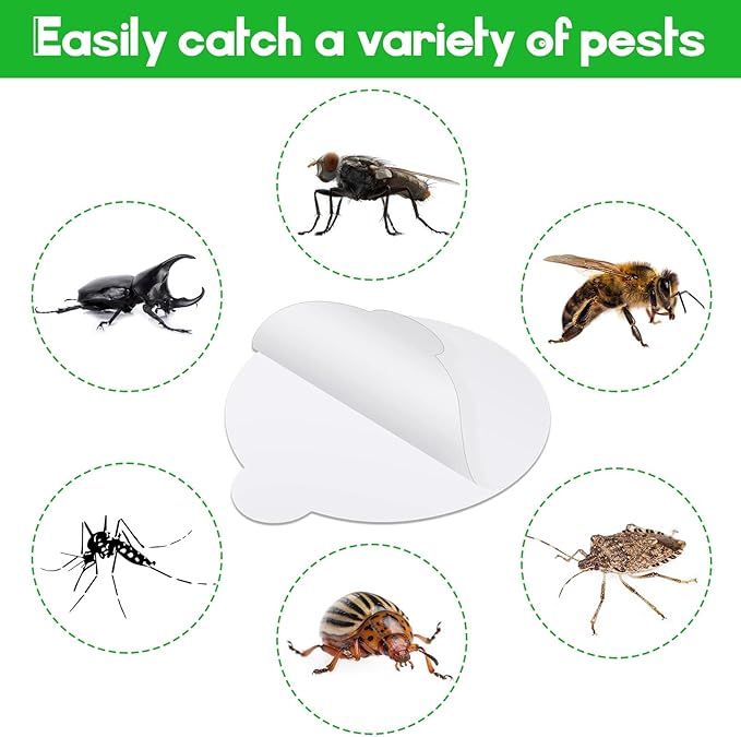 48 Pcs Round Insect Trap Refillable Glue Boards Sticky Fruit Fly Trap Mosquito Fly Killer for Mosquitoes Fruit Flies Gnats Moths Fits Most Models Indoor Outdoor Lamp (4.13 Inch)