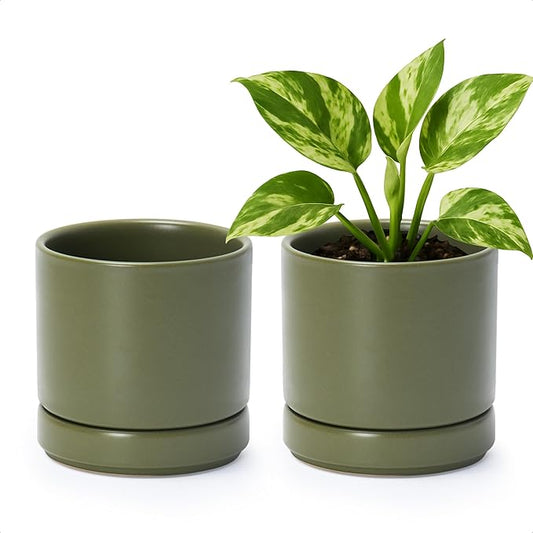 D'vine Dev Set of 2 Plants Pots, 4.7 Inch Ceramic Planter Pot for Plants with Drainage Hole and Saucer, Olive, 94-V-B-J