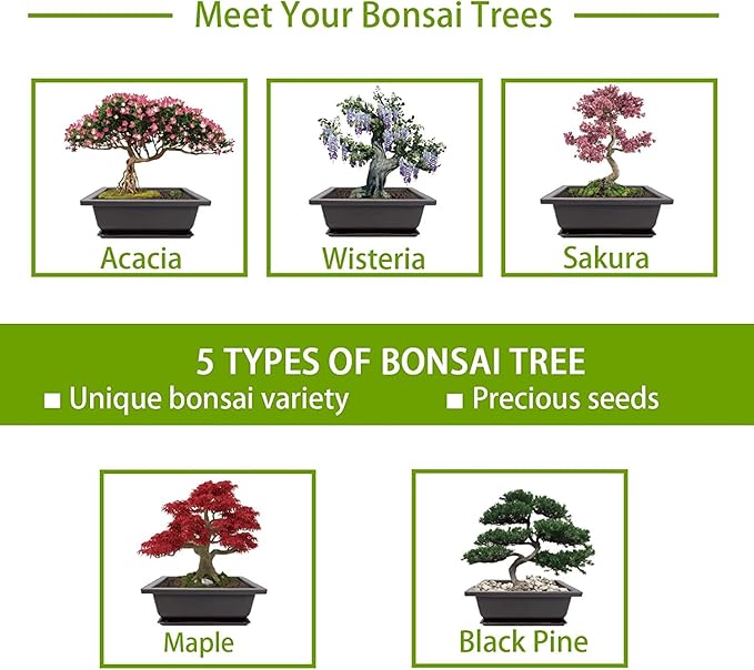 Indoor Starter Kit with Complete Planting Tools, Gardening DIY Gift for Plant Lovers