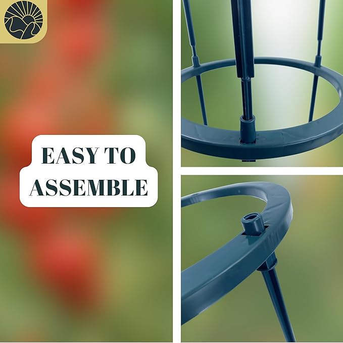 Small Tomato Cage for Pots Mini Tomato Cage Trellis 9'' Each 36'' in Total with Gloves