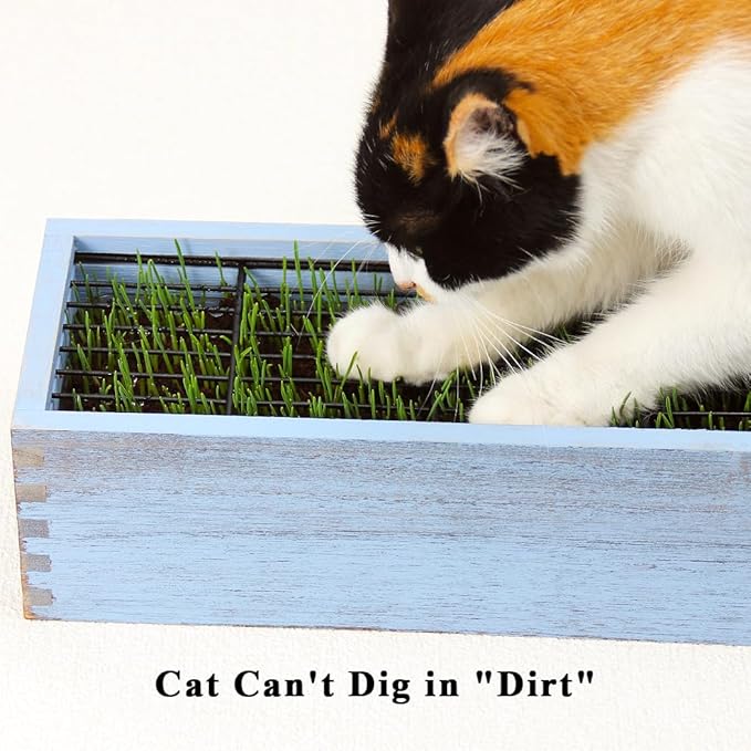 Wooden Cat Grass Planter (no Seeds Included) with Anti Digging Design, and Removable Plastic Liner, Wheat Grass Growing Pot, Cat Grass for Indoor Cats Pets (Vintage Blue)