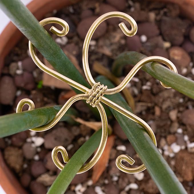 5Pcs Monstera Plant Stem Support Hook (2.75x2.75 inches) - Durable Metal Stem Support for Monstera & Fishbone Cactus, Easy Installation, Ideal Gift for Plant Lovers & Home Decor