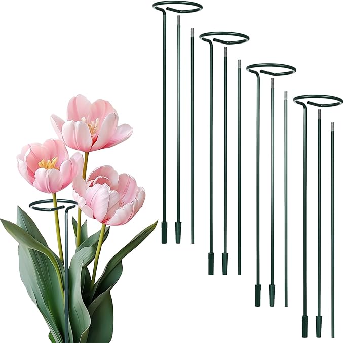 4 Set 36 Inch Plant Stakes Tall, Plant Support Stakes for Indoor or Outdoor, Flower Stake and Supports Three Sizes(12 or 24 or 36 Inch) for Flowers Tomato Amaryllis Lily Peony Rose
