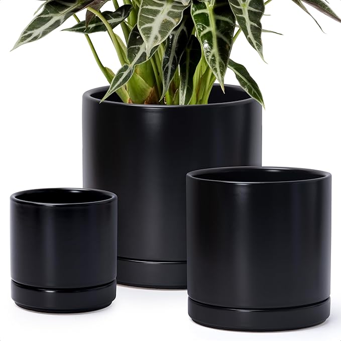D'vine Dev 6 Inch & 8 Inch & 10 Inch, Set of 3 Round Ceramic Planter Pot with Drainage Hole and Saucer, Black, 94-T-L-2