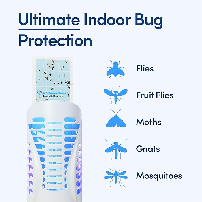 Fruit Fly Traps for Indoors (1 Device + 5 Refills) - Flying Insect Trap Plug in Bug Zapper Indoor, Gnat Trap and Mosquito Trap, Bug Catcher Traps with UV Light Fly Trap Indoor Bug Zapper