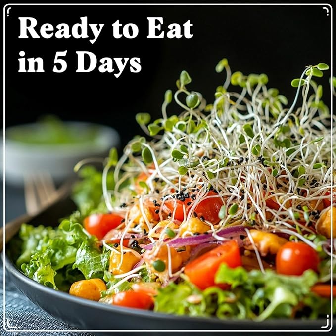 Seedboy Organic Alfalfa Seeds for Sprouting - Non-GMO, USDA Organic Microgreens Sprouting Seeds Mix - Makes 8 Quarts of Sprouts, 24 Servings (8 oz) (Alfalfa)