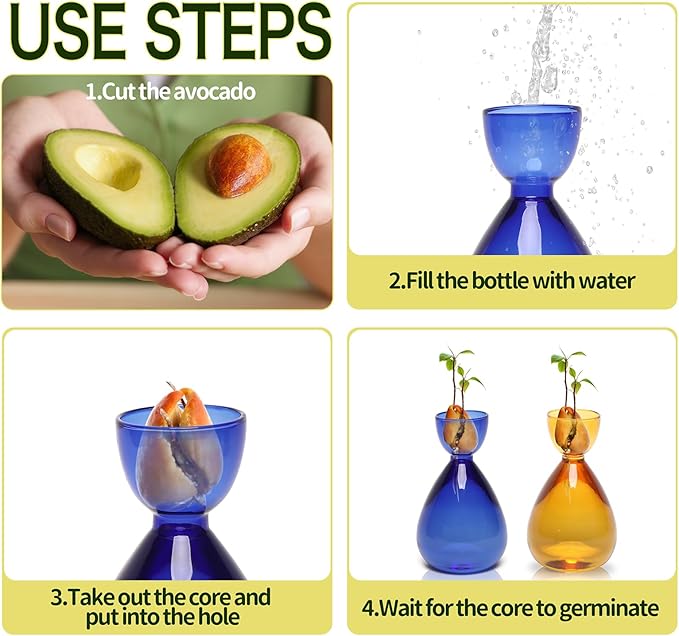 Avocado Vase Avocado Seed Starter Vases Trees Live Plants Growing kit Glass 2pc