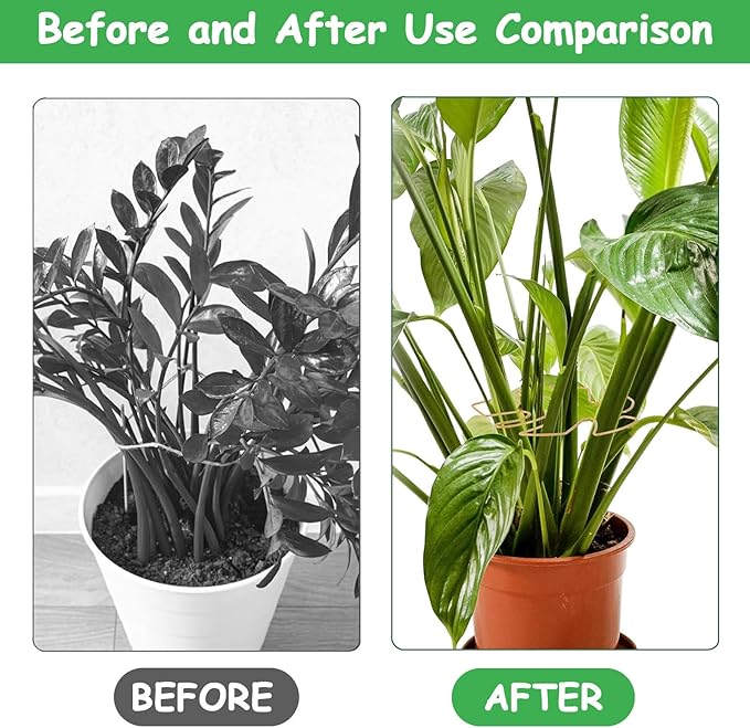 5 Pcs Plant Stem Support, Iron Monstera Plant Support, Durable Hook Stem Supports for Healthy Growth, Bamboo Clamp Set for Leaf Stabilization and Support, Ideal Present for Plant Lovers (6.25IN*7IN)