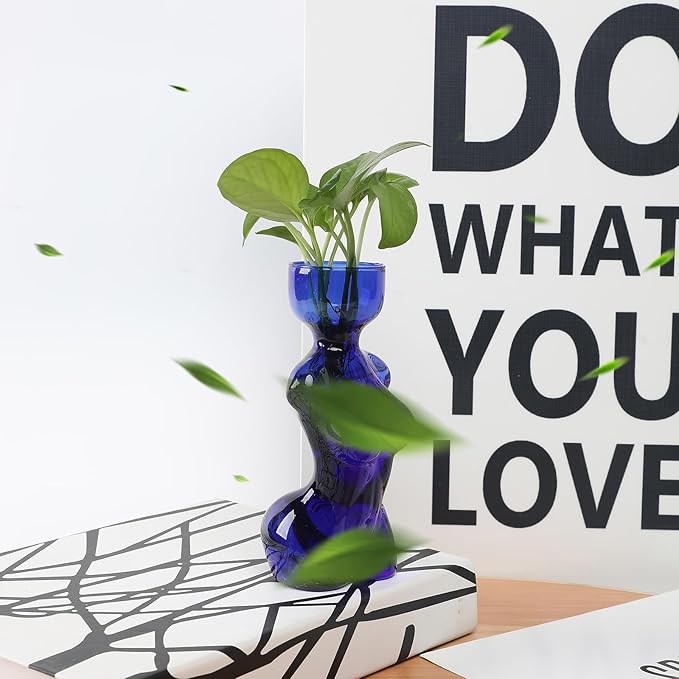 Propagation Vases for Plants Plant Propagation Jars Unique Body Avocado Vase Glass Planter Perfect for Seed Starting Water Rooting and Home Decor Gift for Father