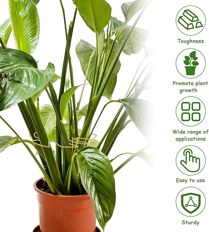 5 Pcs Plant Stem Support, Iron Monstera Plant Support, Durable Hook Stem Supports for Healthy Growth, Bamboo Clamp Set for Leaf Stabilization and Support, Ideal Present for Plant Lovers (6.25IN*7IN)