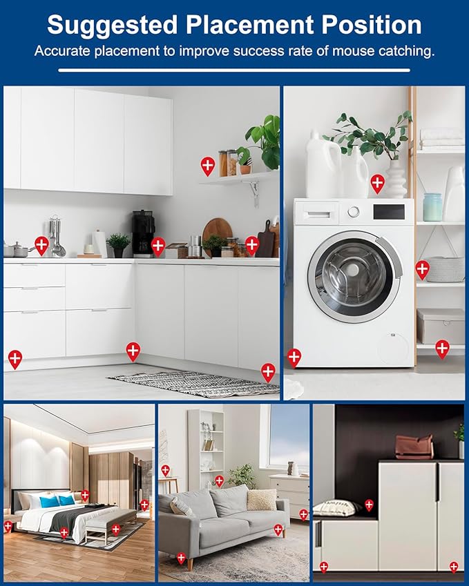 Rat & Mouse Glue-Traps 2 Pack, Large Bulk Traps, Indoor for Home, Pre-Scented Adhesive Plastic Tray Inside House, Snake, Mice, Spider Pet Safe