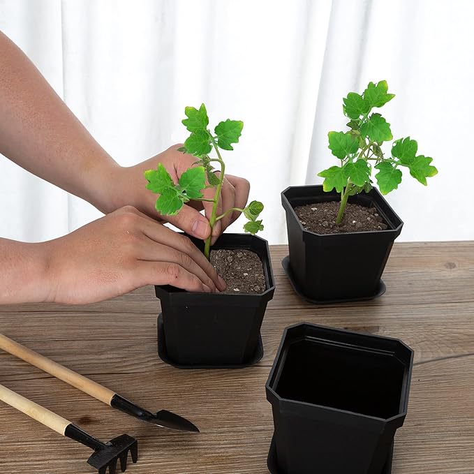 foxany 4" Plastic Nursery Pot, 30 Pcs Thick Plastic Square Planting Pots, Plant Seedling Pots, Seed Starting Pots - Black