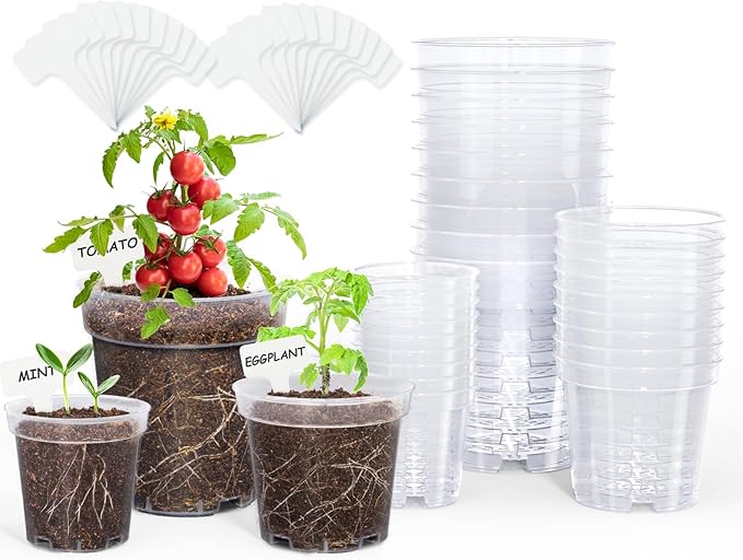 homenote Clear Nursery Pots for Plant,3/4/5 Inch Plant Pot for Planting Plastic Seedling with Drainage Holes Seed Starter Flower High Transparency 20 Labels Excellent Hardness(30 Pack)