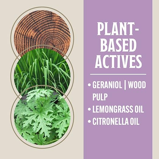 Grandpa Gus's Natural Bed Bug Spray, Plant-Based Bug Control for Home, Mattresses, Furniture, Carpets, and Bedding, Kills Bed Bugs and Eggs, Safe for Kids and Pets, 16 fl oz