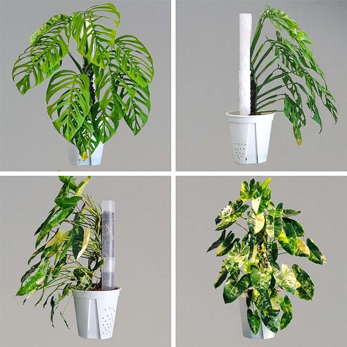 Plastic Moss Pole 4 Pack 17 Inch for Climbing Plants Monstera, Moss Pole Support for Indoor Plants, Plant Support for Monstera Work with Sphagnum Moss, Plant Lover Gifts