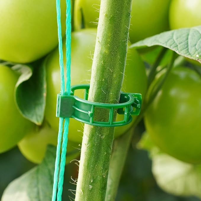 100 Pcs Plant Support Clips,Plastic Clips for Securing Plants,Tomato Vine Clips,Plant Fixing Clips,Garden Clips for Climbing Plants,Grape and Vine Vegetables (100, Green)