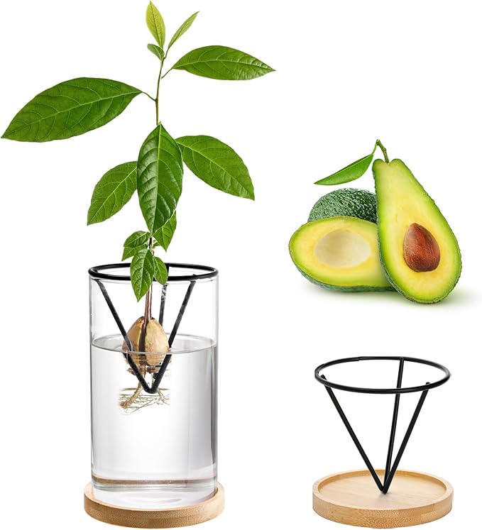 Lawei 3 Pack Avocado Tree Growing Kits, Glass Avocado Seed Starter Vase with Metal Triangle Bracket and Bamboo Base, Avocado Pit Sprouting Plant Pot Glass Bottle for Gardening Lovers Home Decor