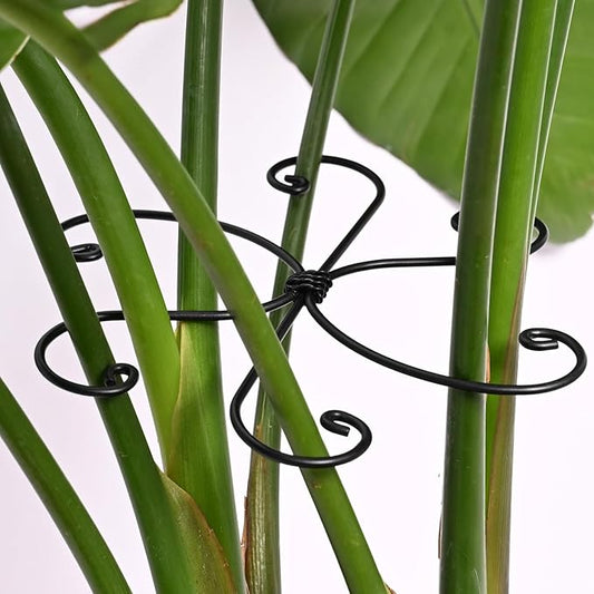 Black Monstera Plant Support Hook - 6.5 * 6.5IN -5 Piece Set, Durable Metal Stem Supports for Indoor Plants, Leaf Holder & Fishbone Cactus Stake, Stylish Design for Healthy Growth & Easy Care