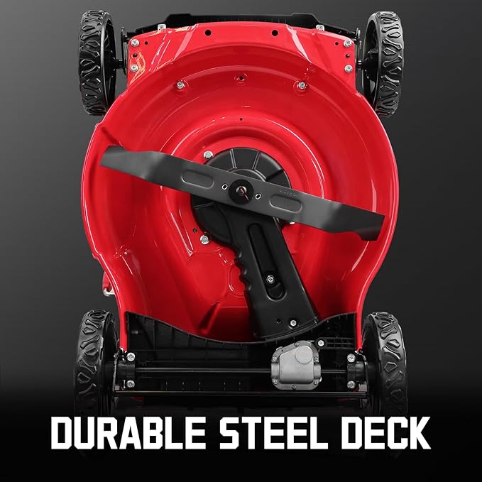 PowerSmart 21-Inch Gas Push Lawn Mower with 125cc Briggs and Stratton Engine, 2-in-1 Mulching Lawn Mower with Side-Discharge, 6-Positions Adjustable Cutting Height (B8721C)