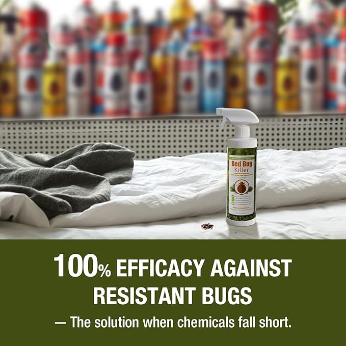 EcoRaider Bed Bug Killer Spray 1 Gallon Jug, Green + Non-Toxic, 100% Kill + Extended Protection