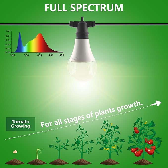 A25 Bulb Plus Size, 15W Grow Bulb,150W Equivalent,LED Grow Light Bulbs, Full Spectrum Grow Lighting, Plant Light Bulbs E26 Base, Grow Light for Indoor and Outdoor Plants (Grow Bulb 2-Pack)