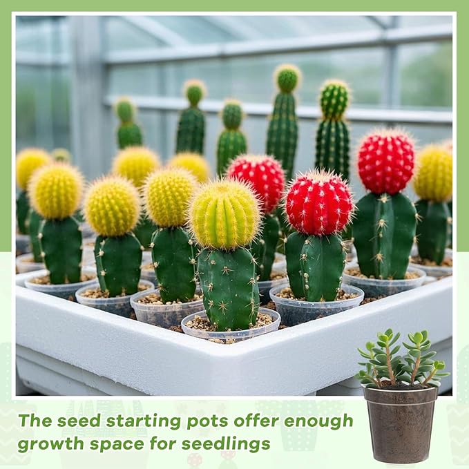 Yaomiao 80 Pcs 3 Inch Clear Mini Plastic Plant Pot Nursery Seedling Pots Seed Starter with Drainage Holes for Indoor Outdoor Garden Succulent Plants Cuttings Transplanting