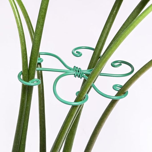 5PCS Monstera Plant Support Hook - 4.1 * 4.4IN, Durable Flexible Stabilizers for Indoor Plants, Metal Stem Supports and Leaf Holders, Easy Tool-Free Operation, Ideal for Fishbone Cactus Care