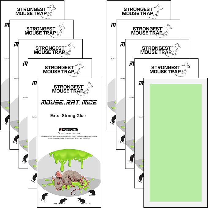 Qualirey 10 Pack Large Sticky Mouse Traps, 11 x 5.3 Inch Non-Toxic Bulk Mice Glue Trap, Rat Glue Boards Indoor Pest Control for Rodent and Insects, Snakes, Cockroaches, Spiders, and Scorpions