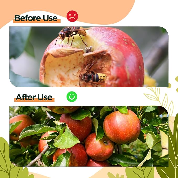 Qualirey 6 Pcs Wasp Traps for Outdoors Wasp Killer Hanging Bee Traps Reusable Fly Bee Killer for Indoor Outdoor Patio Garden Home (Orange)