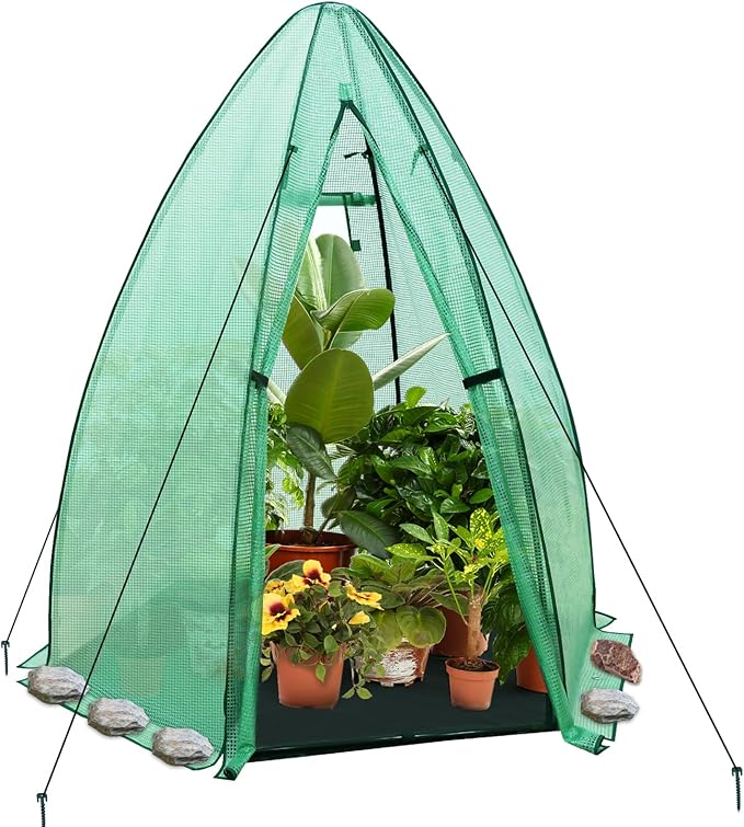 EAGLE PEAK Portable Mini Dome Greenhouse with Zippered Door and Mesh Window, Outdoor Mini Hexagon Greenhouse Kit for Indoor Outdoor Gardening 63"x63"x72", Green PE Cover