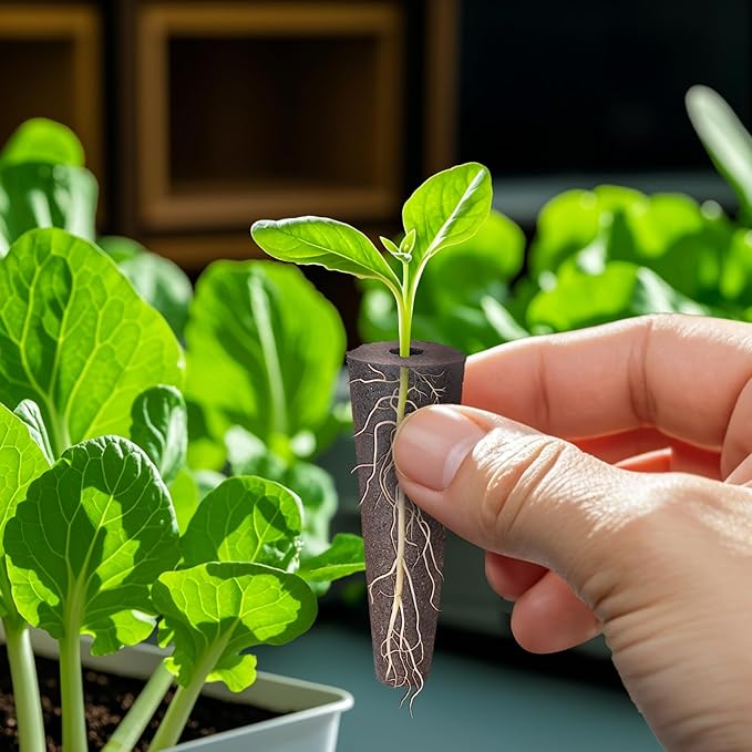 100 pcs Grow Sponges for Hydroponics Compatible with AeroGarden, Hydroponics Growing System Pods, General Hydroponics Rapid Rooter, Starter Plug for Seeds or Cuttings