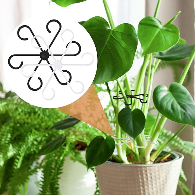 8PCS Plant Stem Support, 4 Sizes Climbing Houseplant Stem Holders, Plastic Reusable Flower Trellis Stem Hook Plant Care Growth Accessories for Flower Plants Indoor Outdoor - Black, Clear