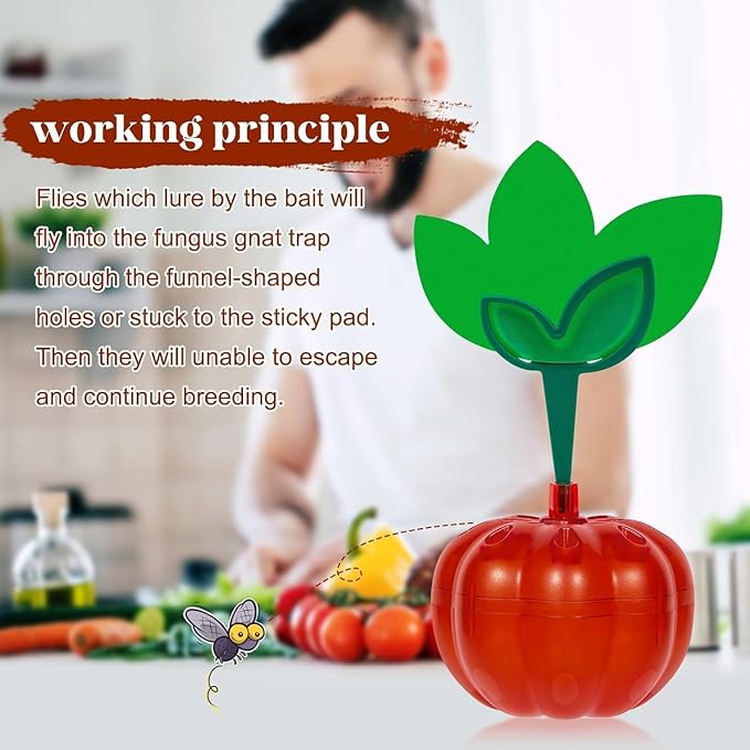 Fruit Fly Traps for Indoors with 8 Sticky Pads, Gnat Trap Killer for Indoor Outdoor, Reusable Gnat Sticky Traps with 1 Fly Bait, Fly Catcher Trap Killer,2 Pack