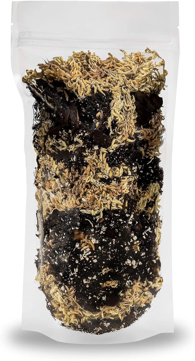 Premium Orchid Mix by GARDENERA | Fern + New Zealand Pine Bark + Sphagnum Moss + Perlite | Best for Growing and Repotting Orchids - 5 Quart Bag