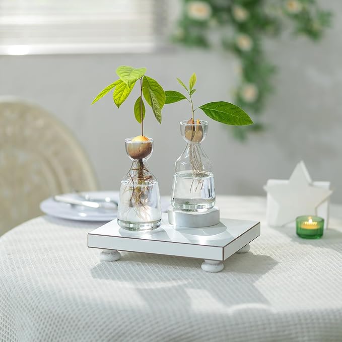 Glasseam Avocado Glass Vase, Handmade Bud Vases Set of 12, Cute Acorn Bulb Small Vase, Clear Flower Vases for Centerpieces, Hydroponic Propagation Plant Vase for Flowers Living Room Dining Table Decor