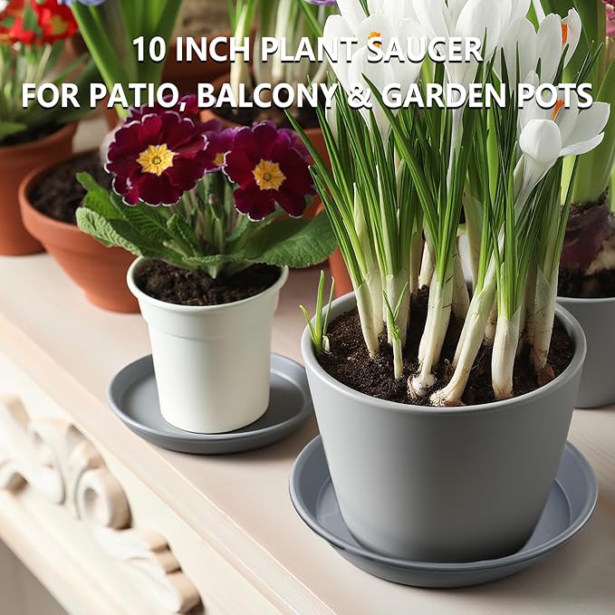 6 Pack 10-Inch Gray Plant Saucer Trays, Heavy Duty Plastic PP Pot Bases for Medium & Large Flower Pots, Durable Water Catcher Plates & Drip Trays for Indoor Outdoor Gardening Use