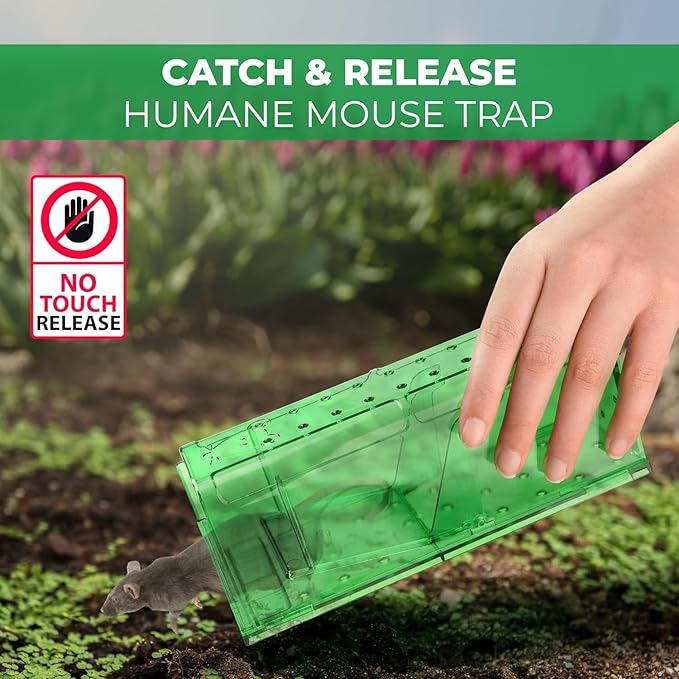 Humane Mouse Trap Pack of 2 - No Kill - Live Mouse Traps Indoor for Home Use - Reusable Rodent Traps for House Indoor, Safe & Effective Rat Trap Outdoor - Humane Mice Control with Cleaning Brush