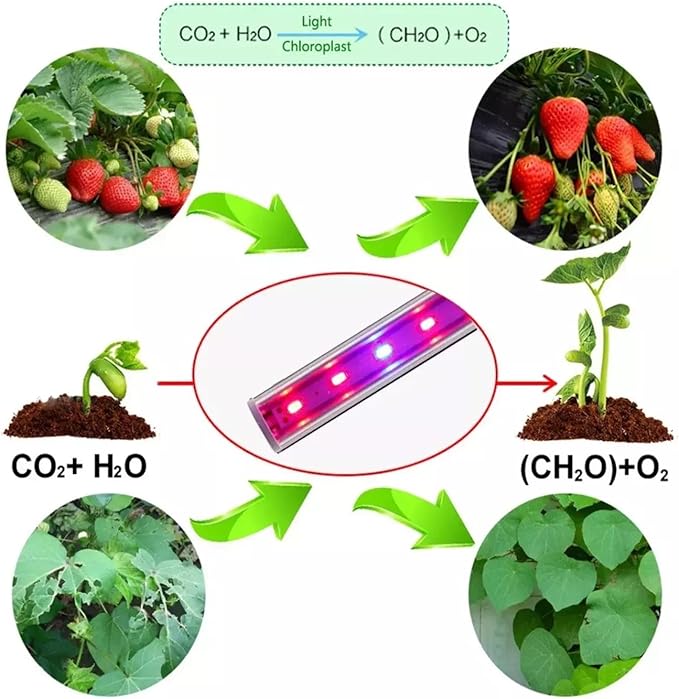 Mini Greenhouse with Grow Light , 4 Tier 27.2" L×19.9" W×61.8" H Portable Greenhouse with Zippered PVC Cover for Seed Starting Trays , Dimmable 2ft 60W Plant Light for Indoor Plant with Timer