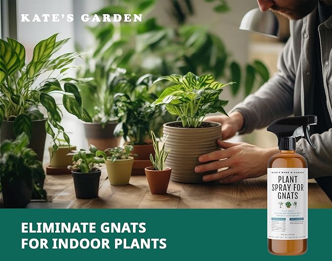 Kate's Home & Garden Plant Spray for Insects & Getting Rid of Gnats with 12 Sticky Traps. Fungus Gnat Killer & Bug Spray for Indoor Plants (16oz, Cedarwood, Pet Safe, Non Toxic)