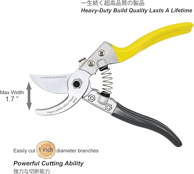 TONMA Bypass Pruning Shears for Gardening [Made in Japan] Professional 8" Sharp Garden Shears with Patent Lock, Heavy duty Japanese Secateurs, Pruning Scissors for Plant, Flowers, Bonsai, Tree