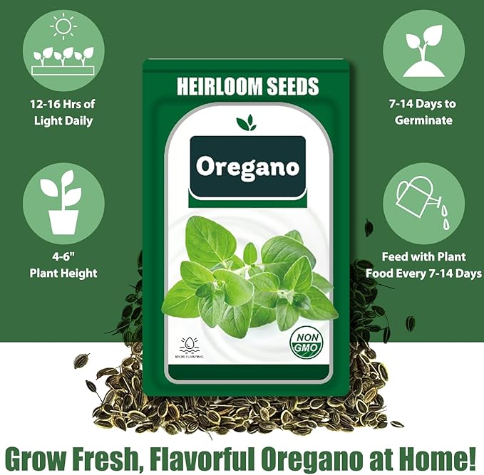 Oregano Seed Pods for All Hydroponics Growing Systems, 12 Pods Herb Kit with 600+ Seeds of Oregano, Grow Your Own Herb Garden at Home
