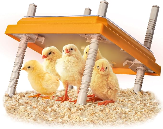 Brooder Heater for Chicks, 10" x 10" for 15 Chicks Heating Plate with Adjustable Height and Angle 15W Chicken Brooder Warm Like Mother Hen