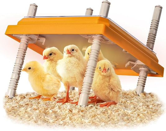Brooder Heater for Chicks, 10" x 10" for 15 Chicks Heating Plate with Adjustable Height and Angle 15W Chicken Brooder Warm Like Mother Hen