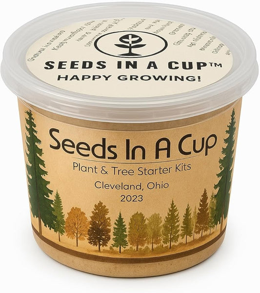 Seeds In A Cup® Sugar Maple Tree Grow Kit – Indoor/Outdoor Seed Starter, Grow Your Own Maple Tree from Seed, Educational Gift for Kids & Adults, Easy Planting Kit