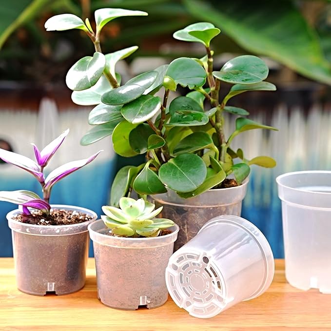 30 Pcs 3.5 Inch Clear Nursery Pots for Plants, Transparent Plastic Plant Pots with Drain Holes, Seed Starter Pots with 20 Plant Labels for Flowers Vegetable Seedlings