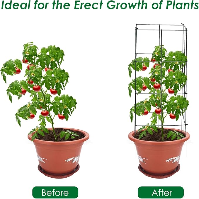 S AFSTAR 8 Pack Folding Tomato Cages, 39 Inches Tall Square Plant Support Cage for Garden Climbing Plants Flowers Fruits, Heavy Duty Tomato Vegetable Trellis