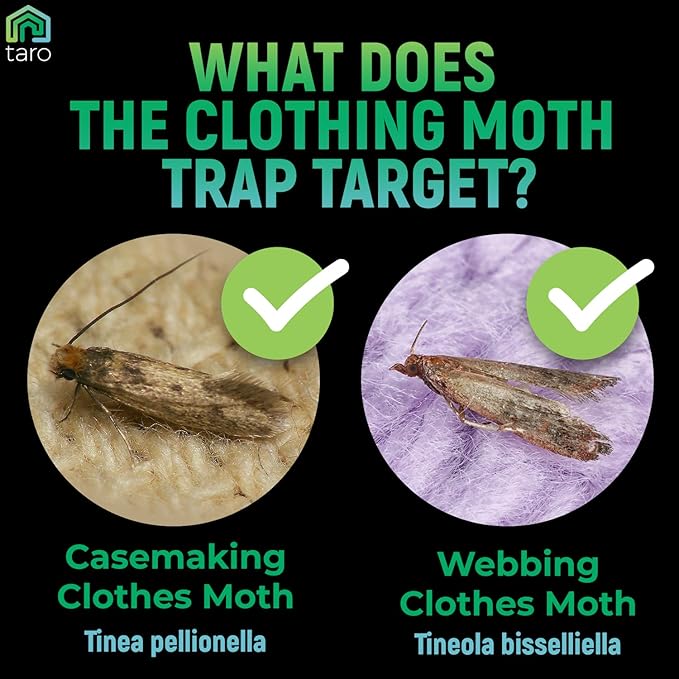 Clothes Moth Traps with Pheromones & Cedar Blocks - Most Effective Moth Killer for Closet, Clothing & Wool - Non-Toxic Moth Repellent for House - How to Get Rid of Moths in Closet